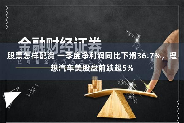 股票怎样配资 一季度净利润同比下滑36.7%，理想汽车美股盘前跌超5%