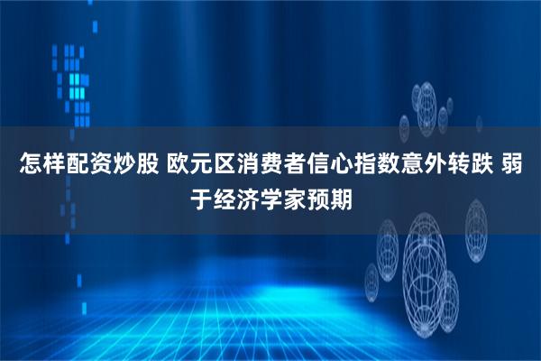 怎样配资炒股 欧元区消费者信心指数意外转跌 弱于经济学家预期