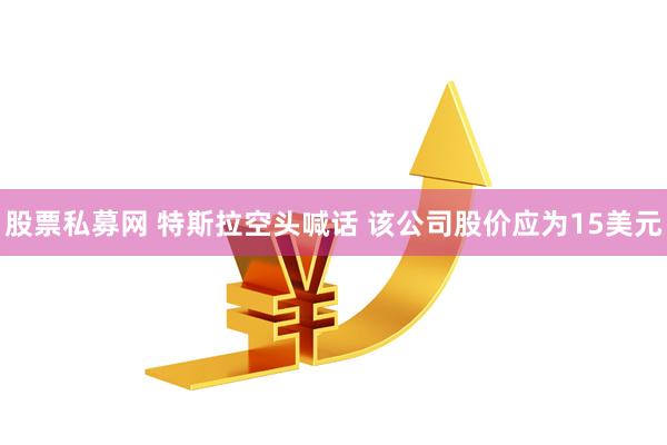 股票私募网 特斯拉空头喊话 该公司股价应为15美元